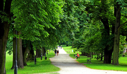 Kańczuga , Sietesz , Markowa , Kraczkowa , Łańcut - Storczykarnia , Łańcut  park