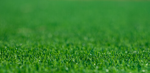 Green grass background, football field
