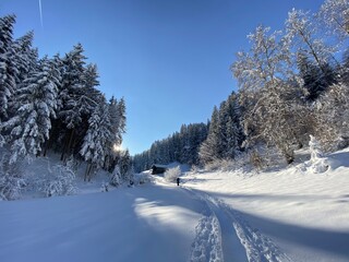 Schneeschuhe Wandern am Jakobsweg bei Terfens Vomp Vomperbach Umlberg Maria Larch Eggen in der Nähe von Schwaz Innsbruck Tirol Grenze zu Bayern im Karwendel am späten Nachmittag im Winter