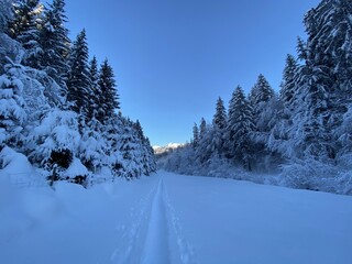 Schneeschuhe Wandern am Jakobsweg bei Terfens Vomp Vomperbach Umlberg Maria Larch Eggen in der...