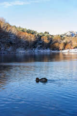 Black Lake Yamanlar Mountain, Izmir - Turkey