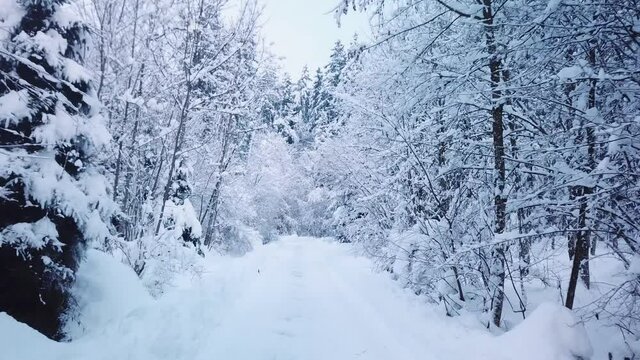 Dolly shot through a wonderful snowy path in a winter wonderland woods.