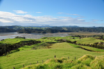 Fototapeta na wymiar tpsische Landschaft in Neuseeland