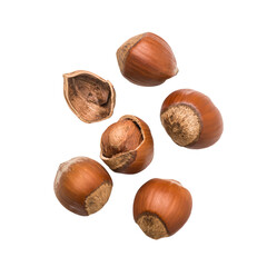Hazelnuts isolated on white background close up