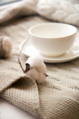 Large white ceramic cup on a saucer and a sprig of cotton on a knitted nude blanket. Cozy home background. Still life from home interior
