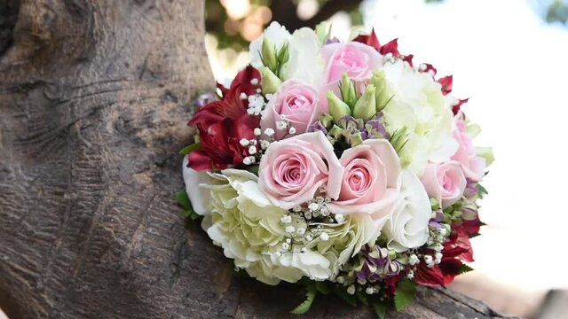 Beautiful wedding bouquet with fresh flowers. Bouquet of white, pink and red roses. A beautiful bridal bouquet on a tree branch. The most beautiful bouquet of flowers for the wedding day