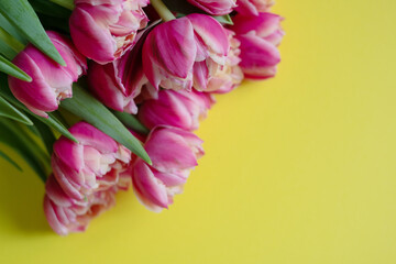 Bouquet of pink tulips on yellow background. Mothers day, Valentines Day, Birthday celebration concept. Greeting card. Copy space for text, top view
