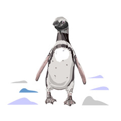 Magellanic penguin. Wild animal. Hand drawn sketch on white background vector illustration.