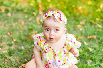 portrait of a small baby girl six months old sitting on the green grass in a yellow dress, walking in the fresh air