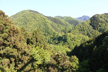 Fototapeta premium 道志道の景色 相模原と山中湖を結ぶと自然豊かな風情ある道 