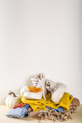 Autumnal clothes set