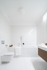 Fototapeta na wymiar Spacious bathroom with bathtub