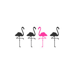 Pink Flamingo logo. black standing pinguin and one purple one. Creative label.
