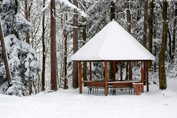 picnic shelter in a forest clearing during winter snowstorm