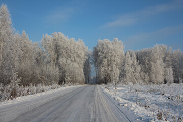 winter road in the forest for driving in the snowdrifts of Siberia