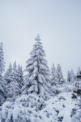 Krokonose mountains is located in northeastern Bohemia and in the south of the Polish part of Silesia. The highest mountain in the Giant Mountains and the whole of the Czech Republic is Snezka 1603m.