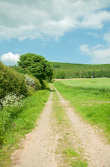 Fototapeta na wymiar Countryside road in the countryside