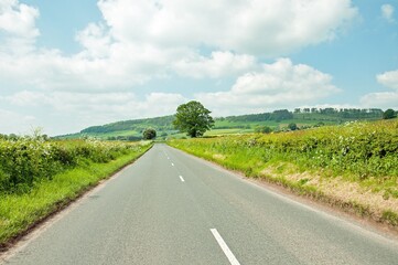 Fototapeta premium Summertime road in the countryside