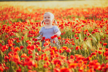 Adorable toddler girl in blue dress walking in the field of blooming poppies © Ekaterina Pokrovsky
