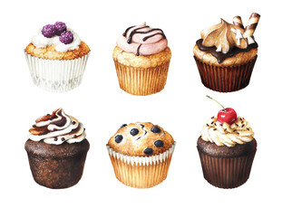 Sketch of muffins beautiful and delicious pastries Different cupcakes