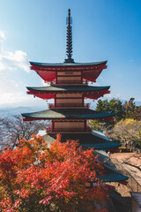 Obraz premium 日本の伝統的な建物