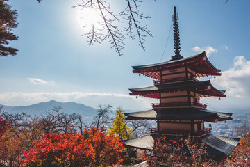 Obraz premium 日本の伝統的な建物