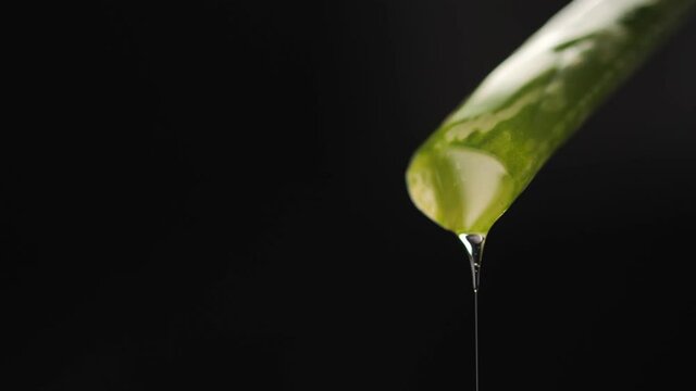 The juice of the cut aloe leaf drips slowly. The essence of the gel drains slowly from the stem. Skin protection and care.