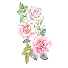 bouquet of pink roses.watercolor flowers
