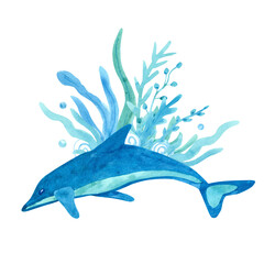 Watercolor composition with a dolphin and seaweed on white background. Blue and  turquoise colors. Sea animal hand painted illustration. Great for posters, mug decoration, scrapbooking and so on.