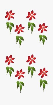 set of red and green flowers isolated white background