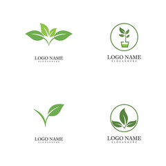 Set Mint leaves flat vector color icon template