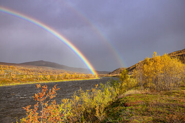 Rainbow over a yellow landscape ein Norway