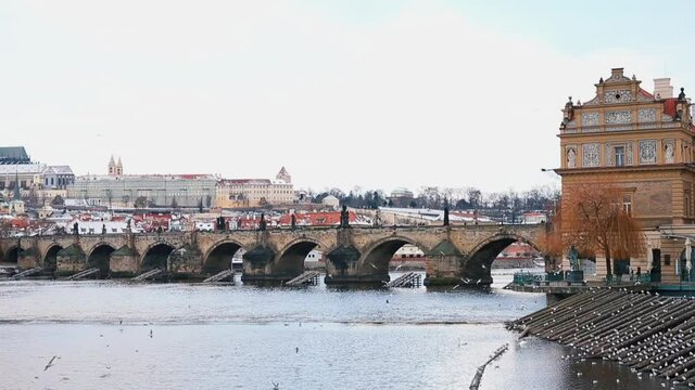 Panoramic view of Charles Bridge, Prague Castle and buildings on Kampa Island. Winter cloudy weather, seagulls fly over the Vltava river.