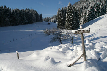 Winterlandschaft bei Gunzesried