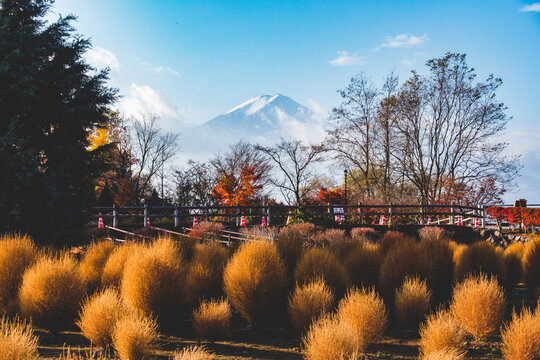 7 841 最適な 秋らしい 画像 ストック写真 ベクター Adobe Stock 7 841 最適な 秋らしい 画像 ストック写真 ベクター Adobe Stock