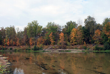 autumn forest by the river