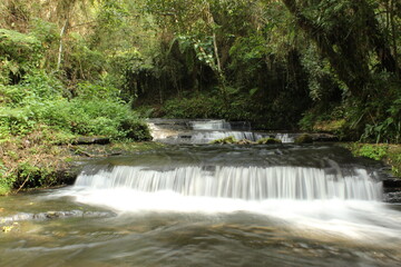 waterfall in the forest