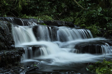 waterfall in the forest