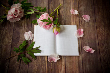 pink blooming peonies on a detailed blank notebook