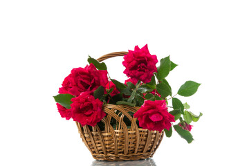 Fototapeta na wymiar bouquet of beautiful red roses isolated on white