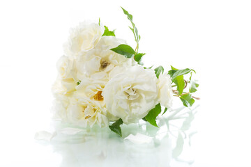 Obraz na płótnie Canvas bouquet of beautiful white roses isolated on white
