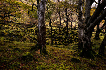 Glenveagh-Nationalpark in Irland County Donegal