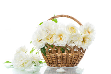 Fototapeta na wymiar bouquet of beautiful white roses isolated on white