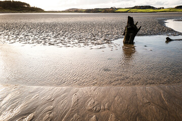 Ards Forest in Irland County Donegal