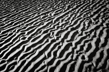 Ards Forest in Irland County Donegal