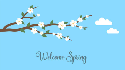 Spring Branch and blue sky. Spring and summer flowers. Sakura. Cherry blossom. Vector