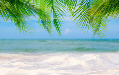 Obraz na płótnie Canvas Coconut tree leaf on the tropical beach with space for text , summer,holiday, vacation weekend or relax ,summer mid year sale concept 