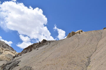 mountain goat in the mountains