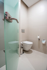 Toilet in the bathroom