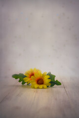 Yellow flowers over wooden table and blurry background with copy space